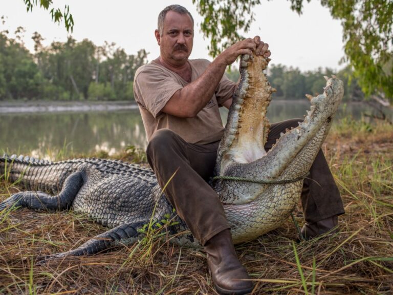 A man sits on the ground next to an alligator